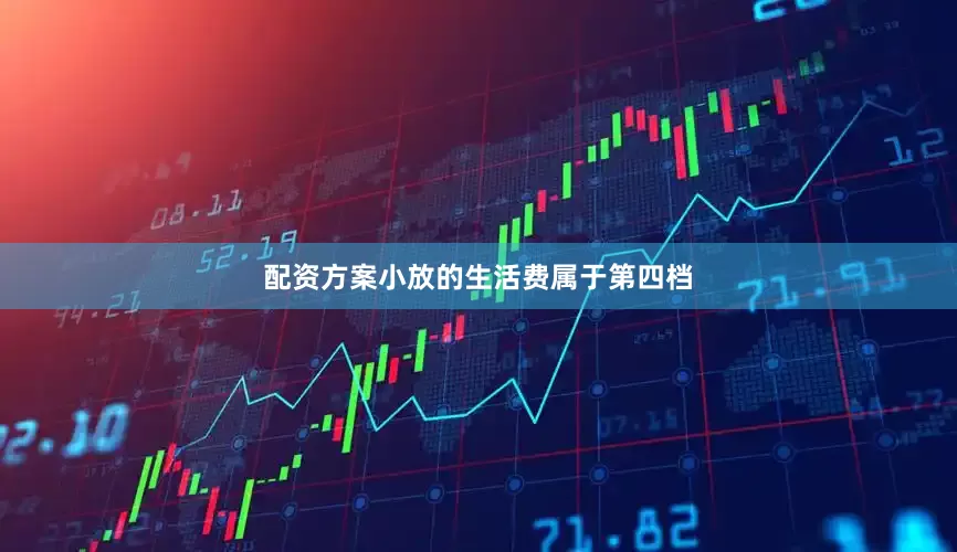 配资方案小放的生活费属于第四档