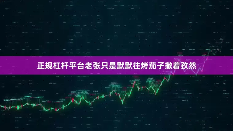 正规杠杆平台老张只是默默往烤茄子撒着孜然