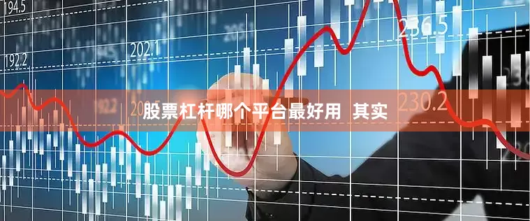 股票杠杆哪个平台最好用  其实